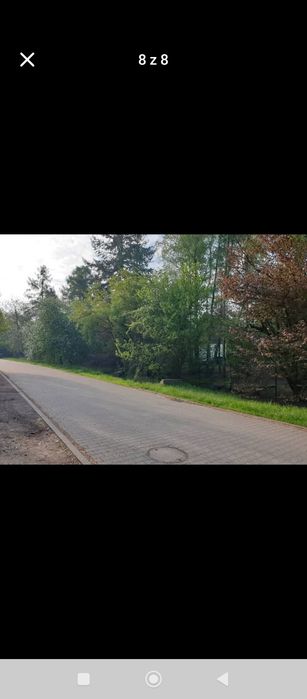 Zdjęcie 2