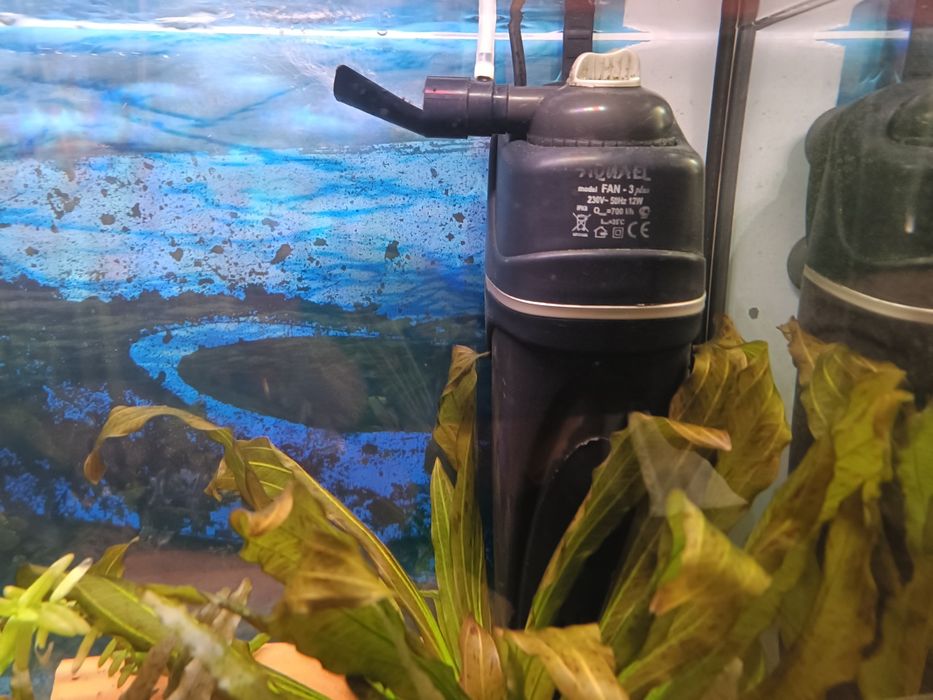 Akwarium 112 L Diversa