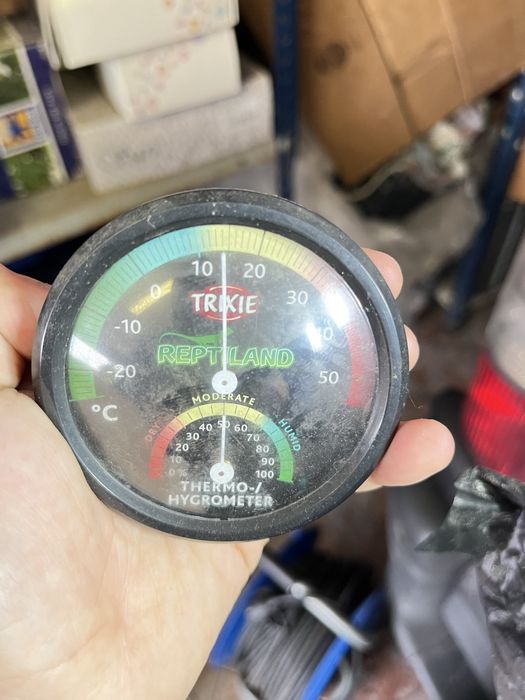 Terrario Grande +extras