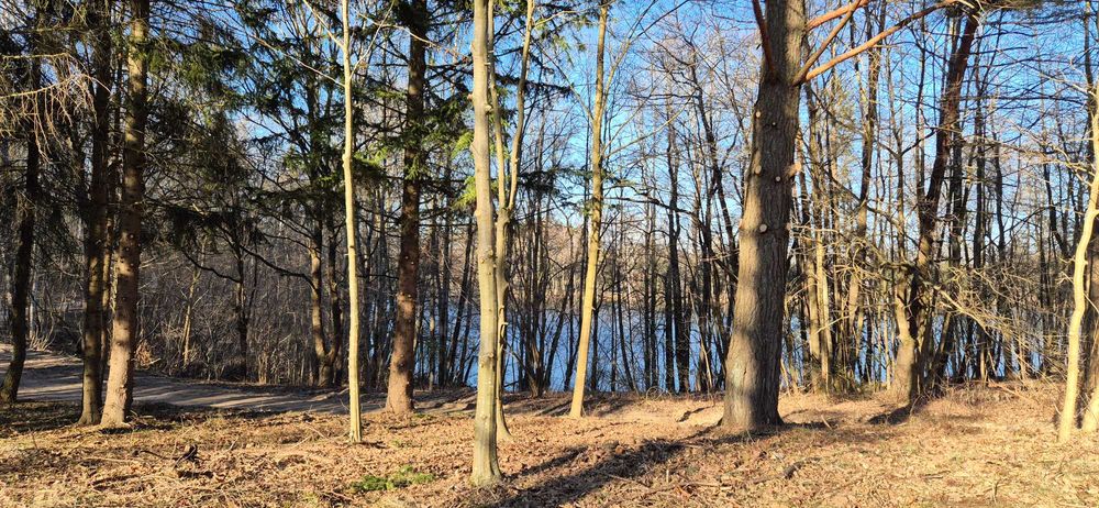 sprzedam działkę nad jeziorem DADAJ