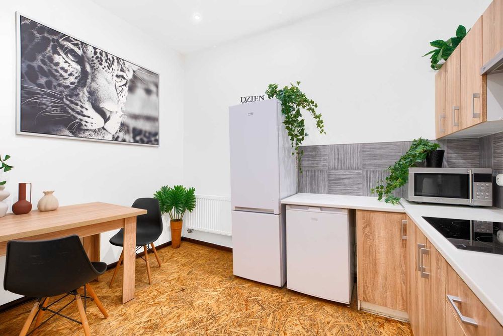 Apartment in Poznań, Grunwald, Łazarz - Widok 5