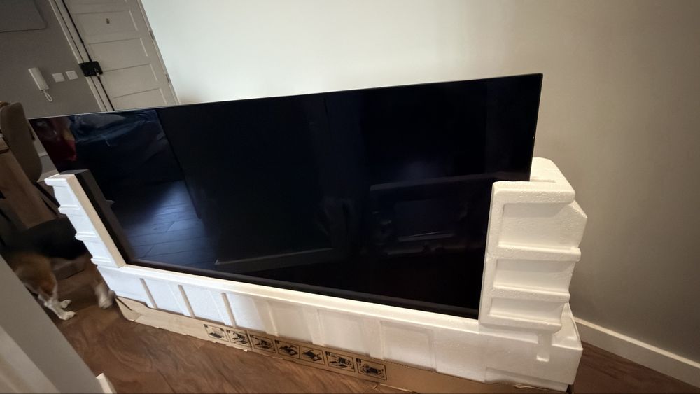 LG OLED CX 65 (Com defeito na fonte)