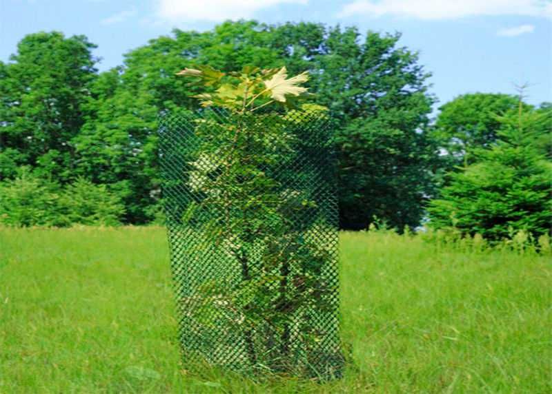 Siatka rabatowa ogrodzeniowa zielona 0,4x50m krety