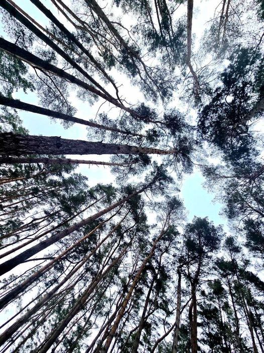 Продаж або обмін, студії під чистову обробку в ЖК "Forest Apart", Баранівка
