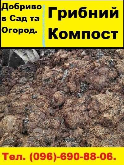 Вивіз Сміття. Демонтаж. Вантажники. Вывоз мусора. Свалка. Хлам.Мусорка