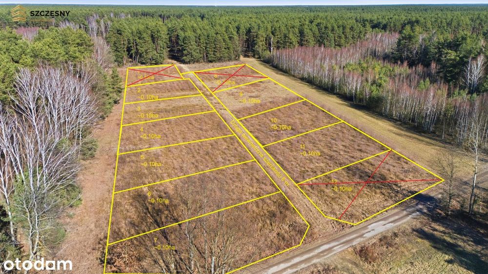 Działki Kąty-Wielgi 1h od Warszawy