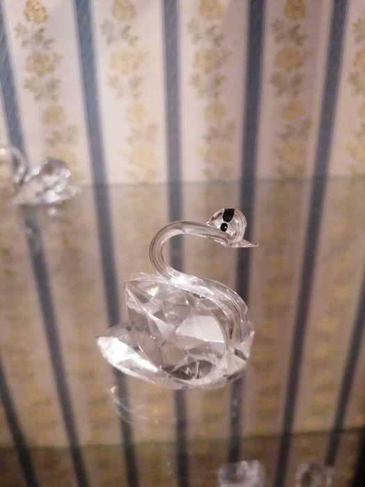 Par de Cisnes de Cristal Swarovski