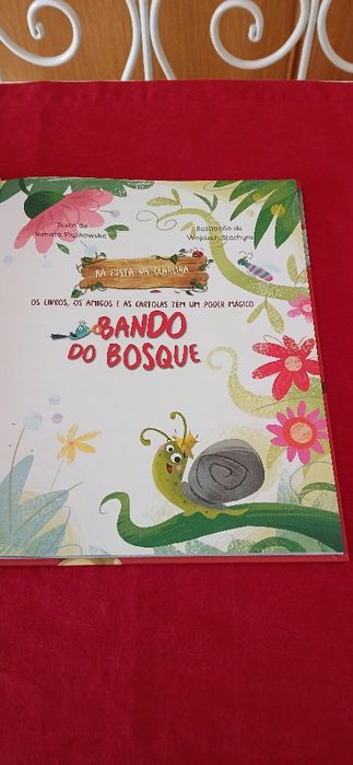 Bando do Bosque-Há Festa na Clareira, novo