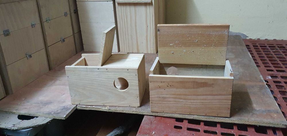 Ninhos usados em bom estado