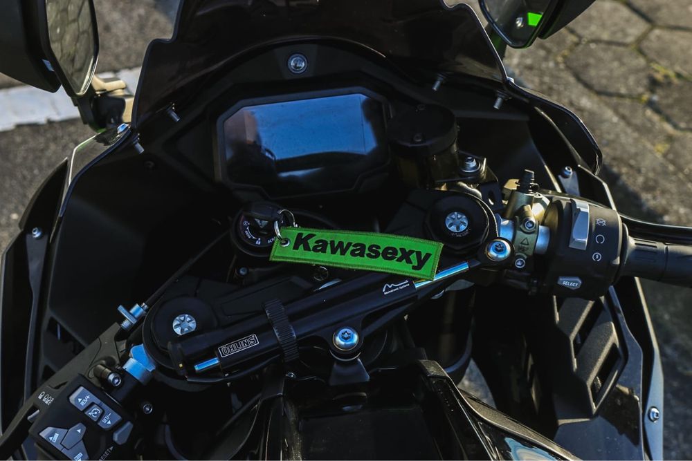 Kawasaki ninja zx10r