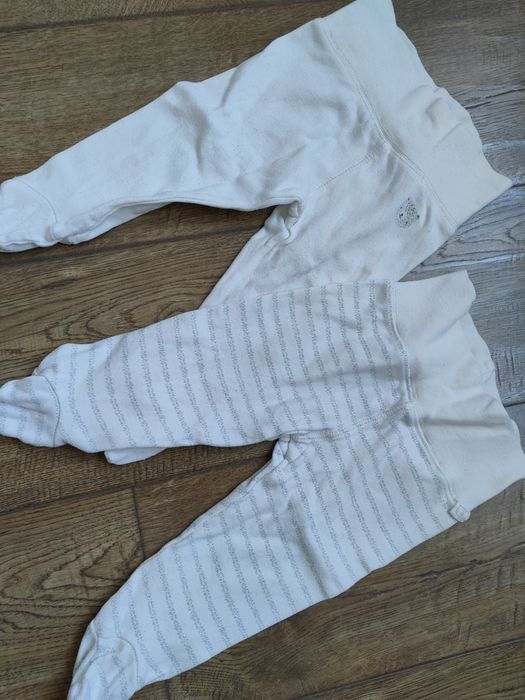 Półspiochy 5.10.15 rozm 68