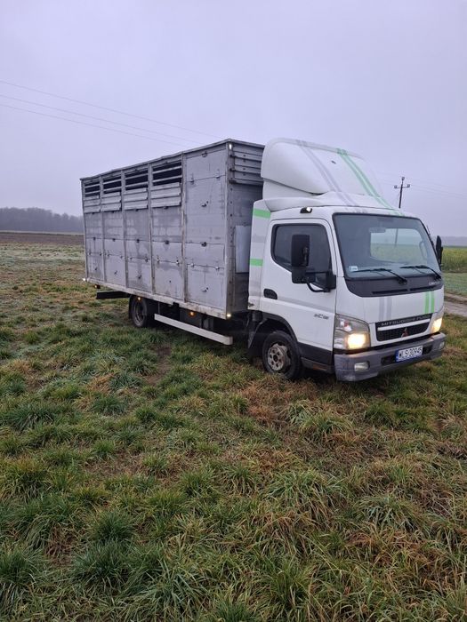 MITSUBISHI do przewozu zwierząt. Żywcówka.