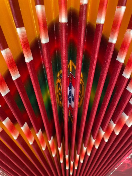 Vendo Concertina como Nova Pouco Uso E’ Uma Super Organola Semi Nova