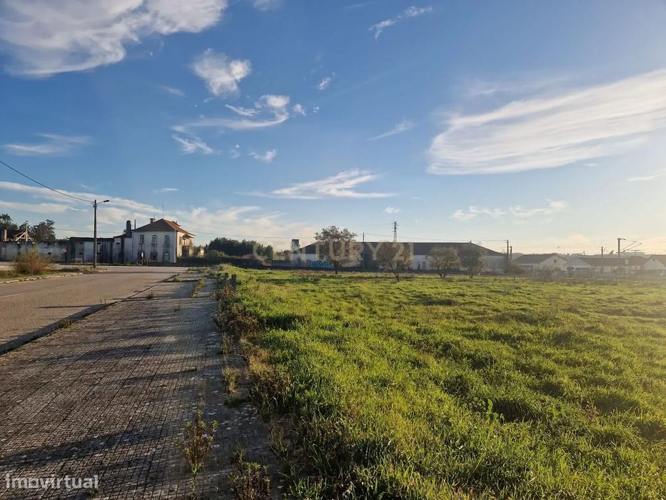 Lote de terreno || Freguesia de Pelariga || Pombal — Pelariga, Leiria