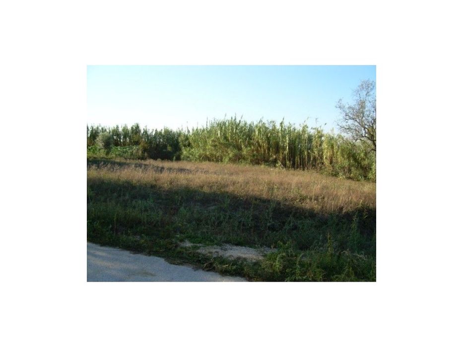 Terreno Venda Leiria