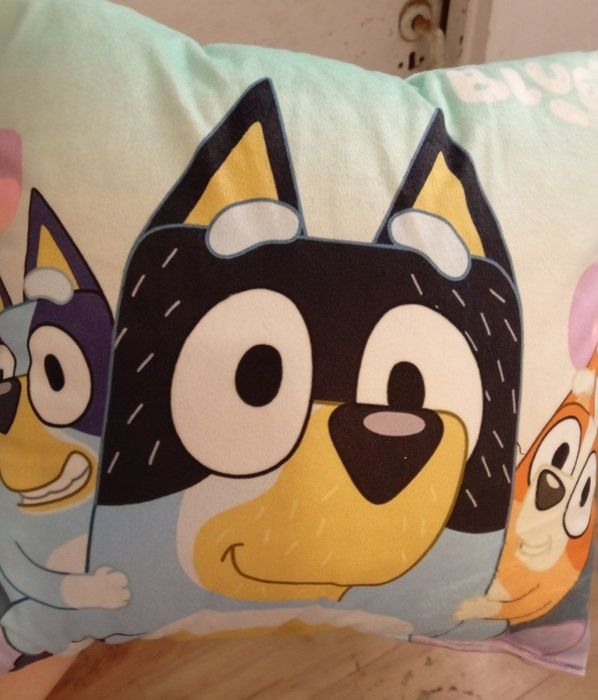 Poduszka Kolorowe sny z Bluey 
Opis: