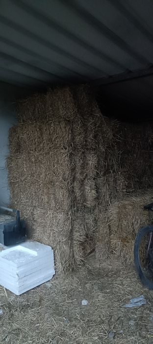 Fardos de Palha de Erva