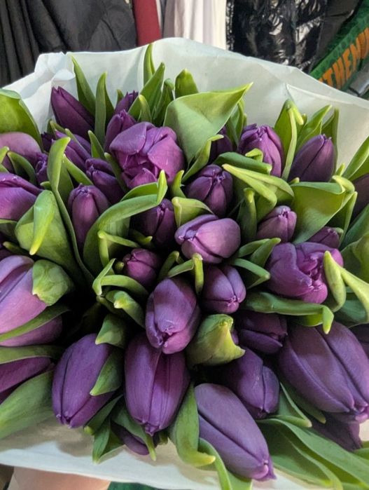 САМАЯ НИЗКАЯ ЦЕНА!ОТ 500 шт Тюльпаны Гурт Опт к 8 марта поставщик топ