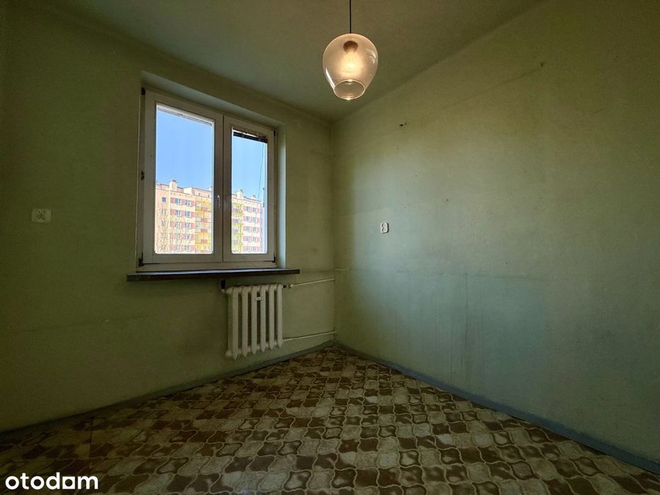 Zdjęcie 3