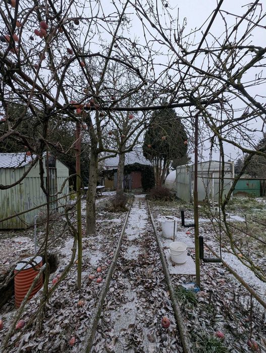 Działka ROD Opalenica