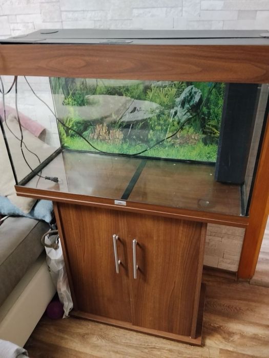 Акваріум Juwel RIO 125 л (вживаний)