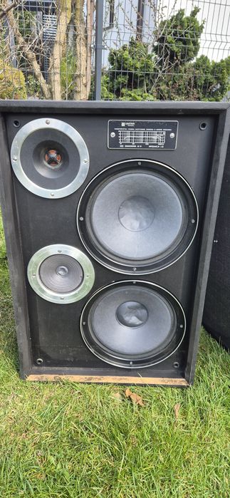 Głośniki Tonsil  40W