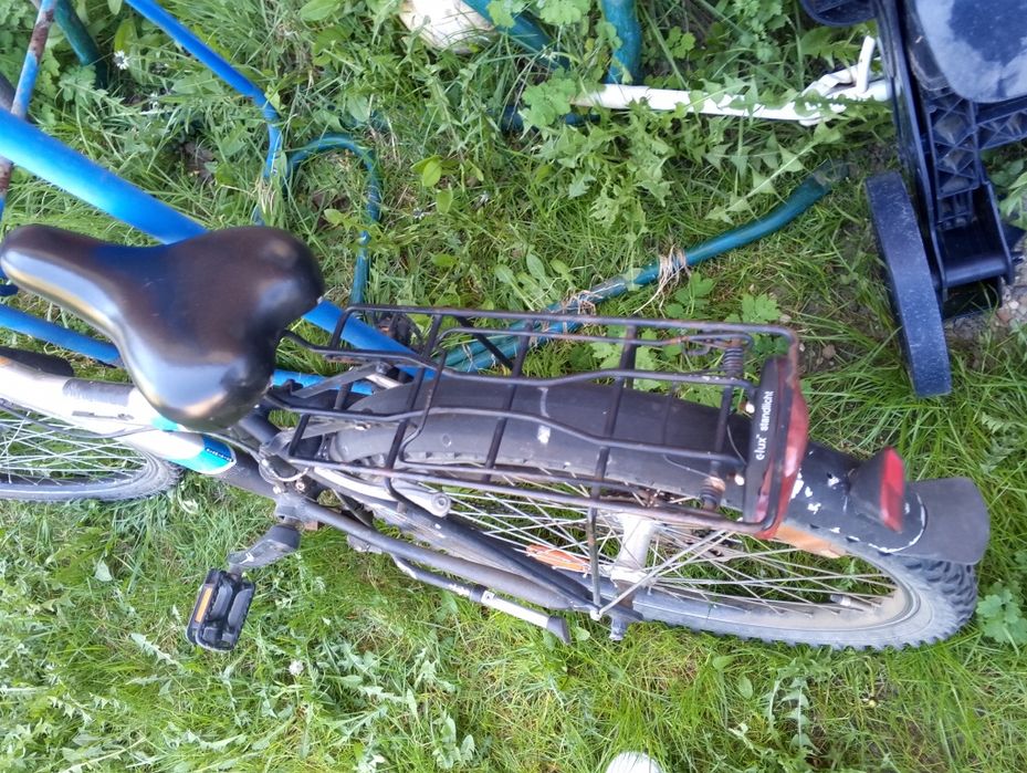 Rower Pegasus 24"