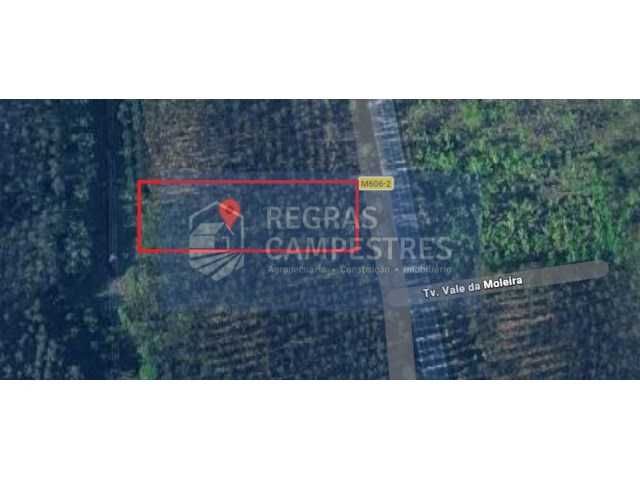 TERRENO RÚSTICO C/ VIABILIDADE DE CONSTRUÇÃO INDUSTRIAL BARRÔ - ÁGUEDA