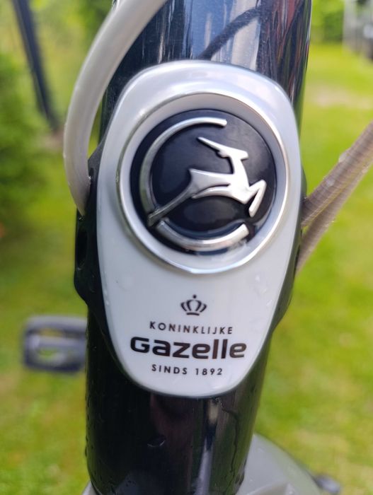 Rower Gazelle Paris Plus