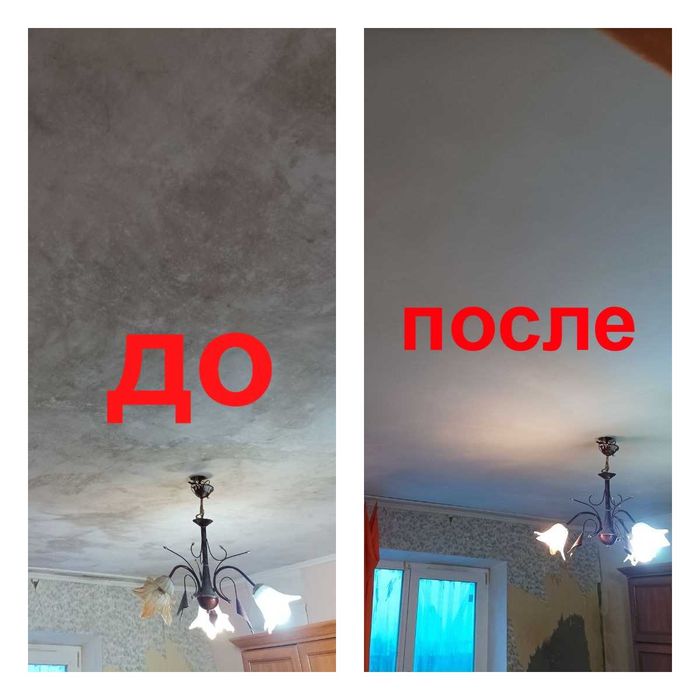 Удаление Грибка/Плесени Бесплатно Консультируем. Грибок/Плесень/Метод.