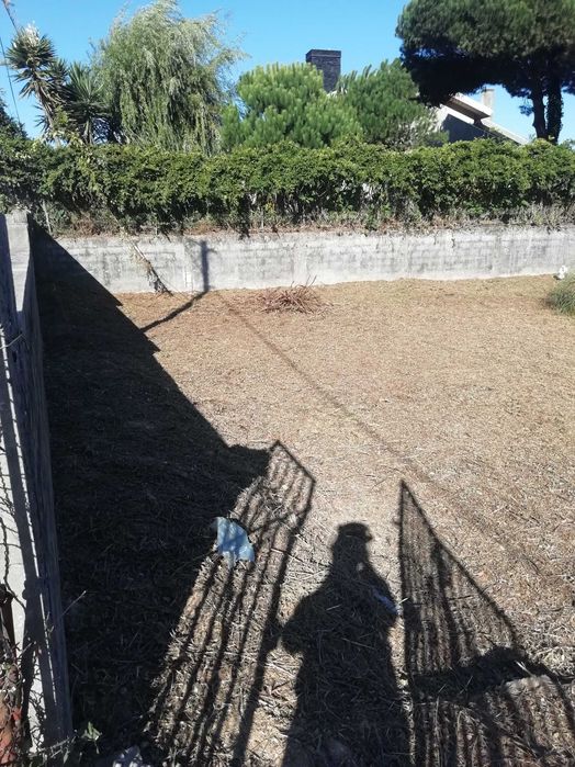 Limpeza de terrenos, matos jardins e outros afins