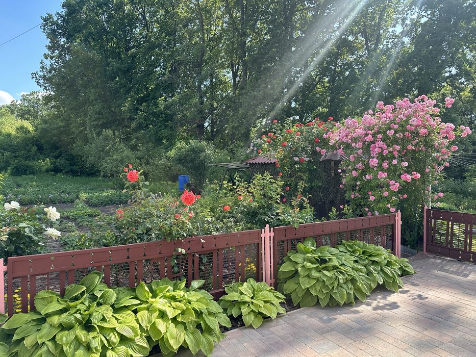 Продам Дом р-н Хинчанка | Полевая 87 кв.м | 5 сот