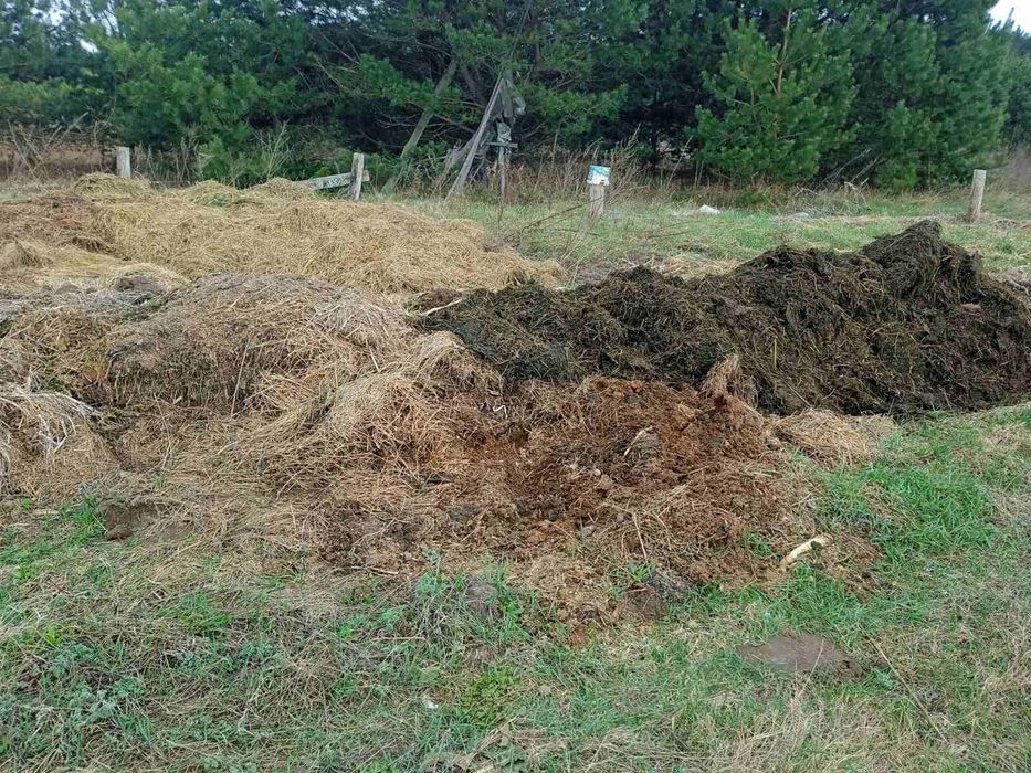 Гній баранячий, натуральний
