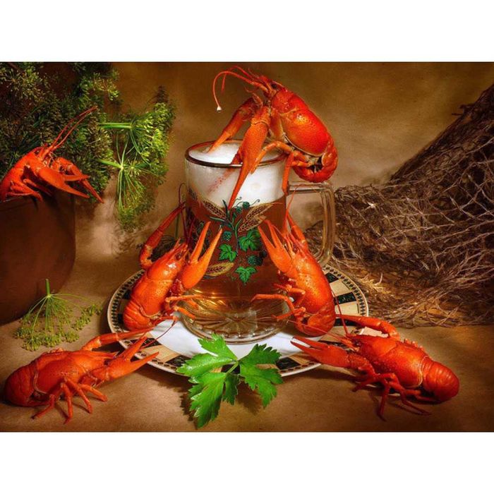 раки різних розмірів.