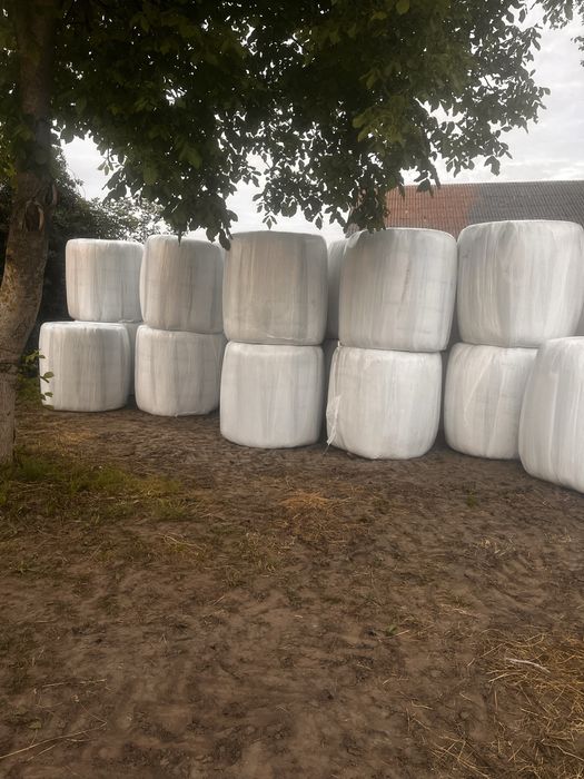 Sianokiszonka z Lucerny, Lucerna, Kiszonka, Słoma