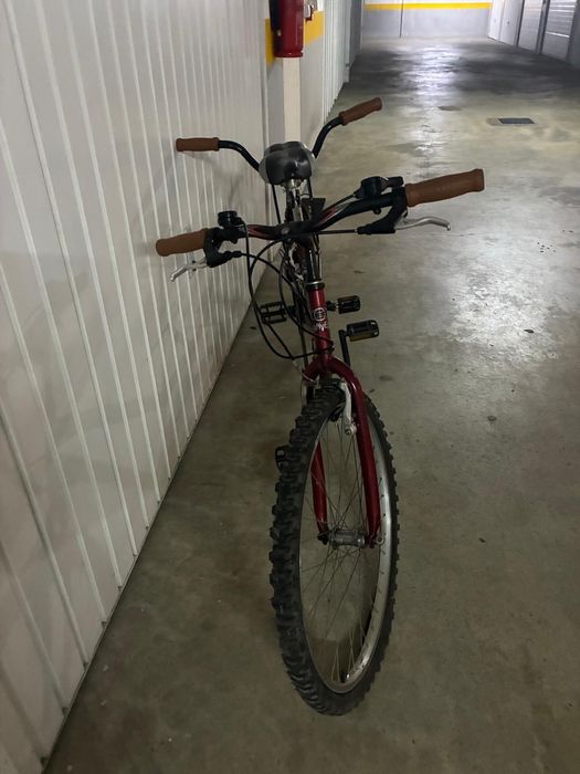 Bicicleta tandem (dupla)