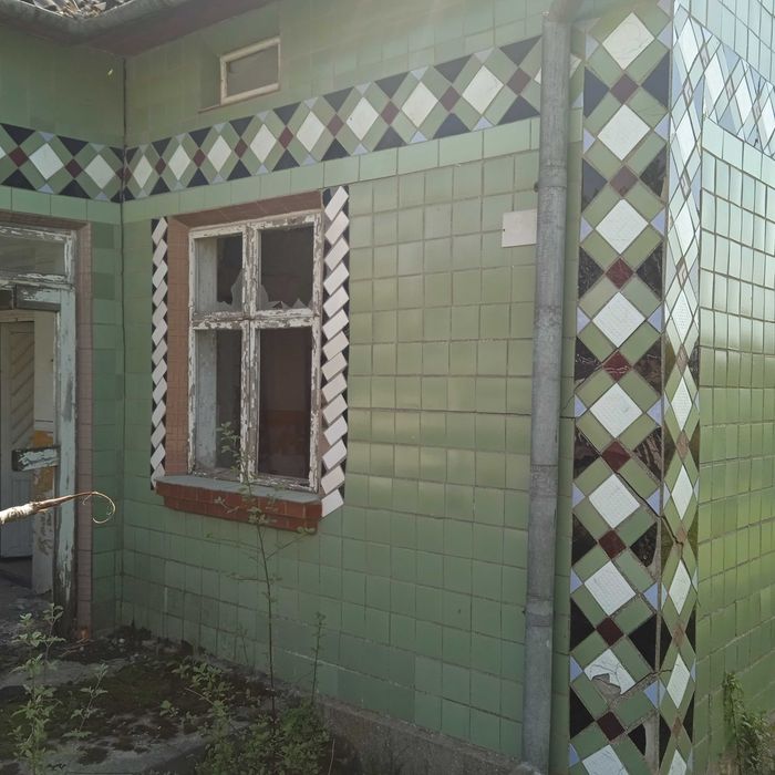 Будинок з городом в м.Хоростків