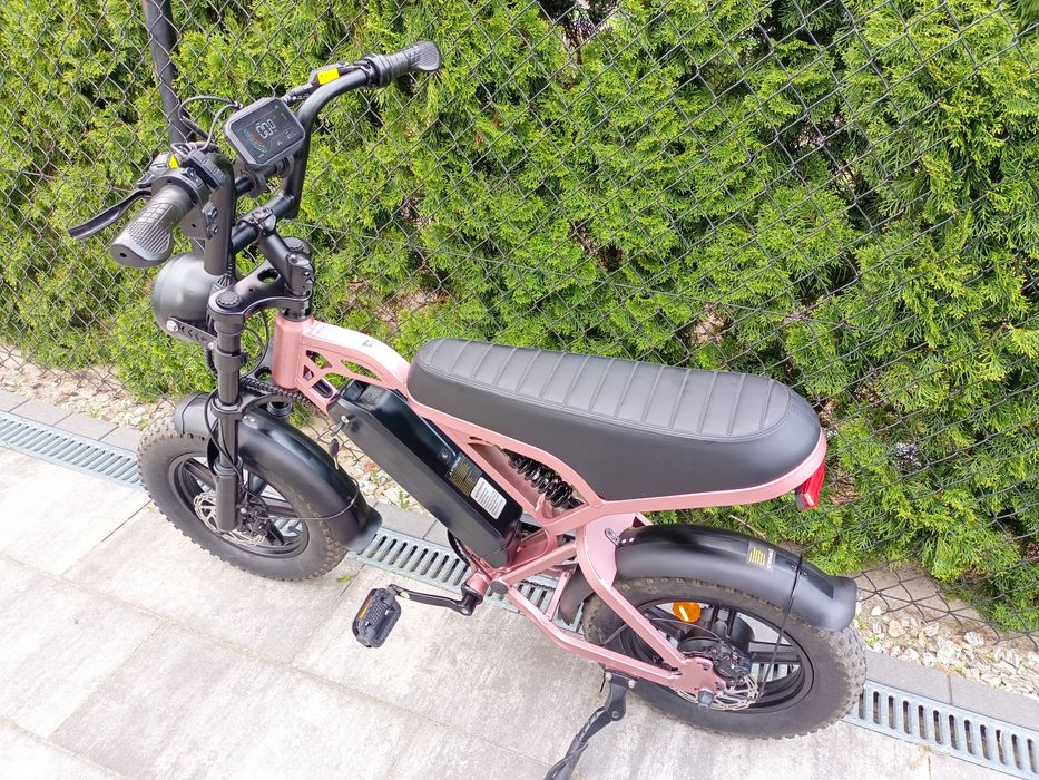 Fatbike v20 mini