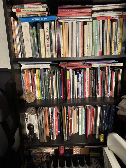 Lote de varios livros