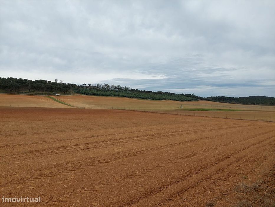 Herdade Alto Alentejo