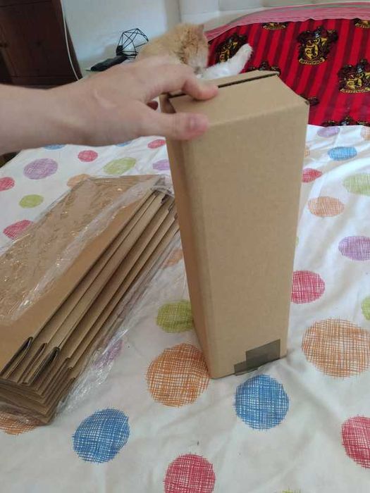 Cardboard Boxes for Bottles64861253555458121