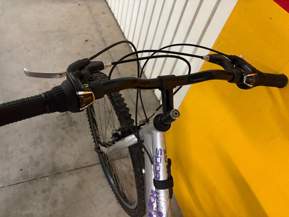 Bicicleta Mulher Adulto