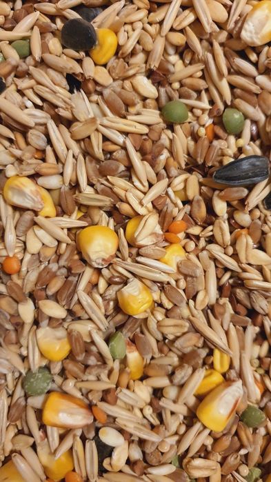 Корм 12 злаков для хомяков, крыс, мышей для грызунов