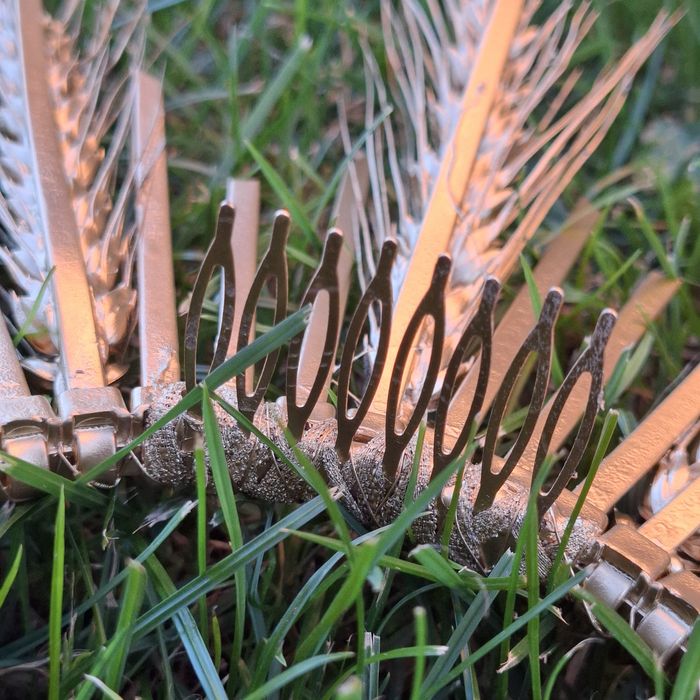 Обруч вінок, золота корона зі злаків.