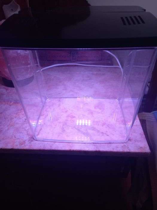 Aquario com tampa e 5 modos de luz