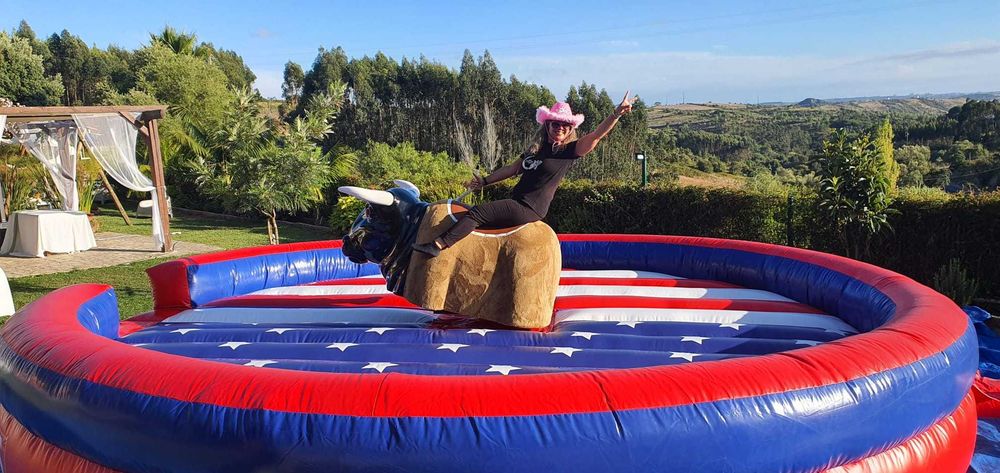 Animação - Casamentos - Batizados - DJ - Touro Mecânico