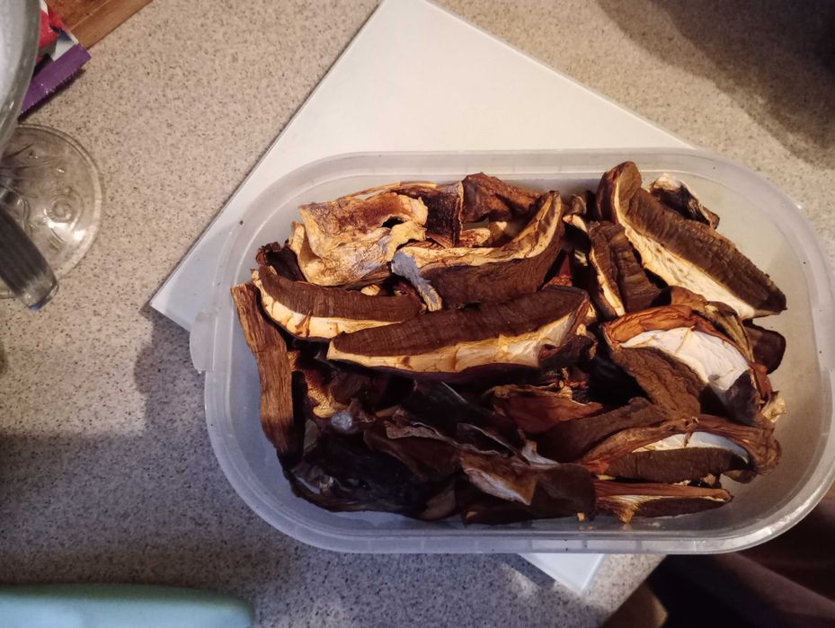 Grzyby suszone mieszanka 2 kg