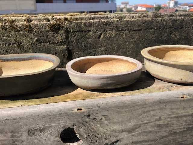 Conjunto de vasos de bonsai Erin Poterry