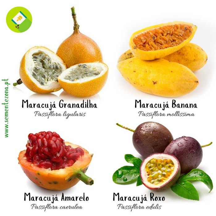 Pack/kit 4 Variedades de Maracujás