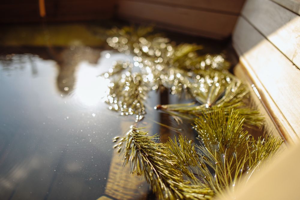 Будинок для 2-4 гостей подобово